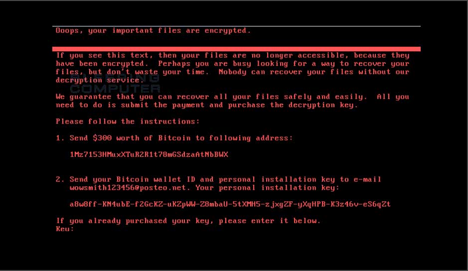 b2bnetwork vacina petya 01